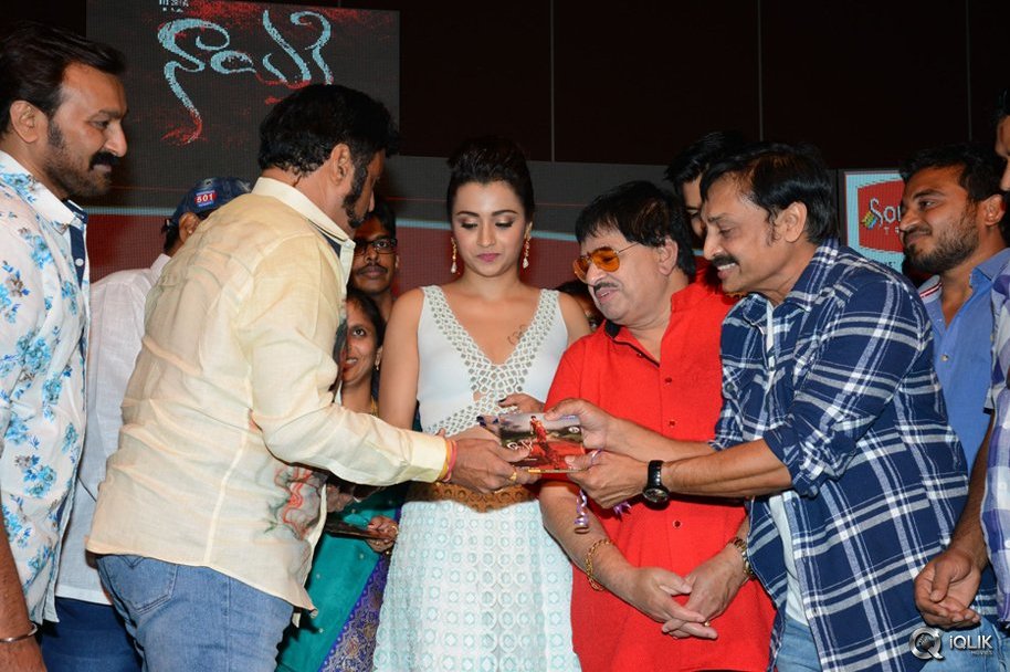 Nayaki-Movie-Audio-Launch